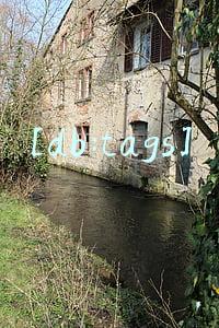 [db:tags]