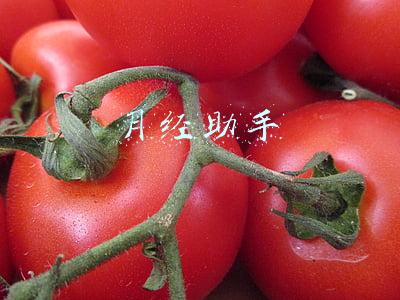 月经助手