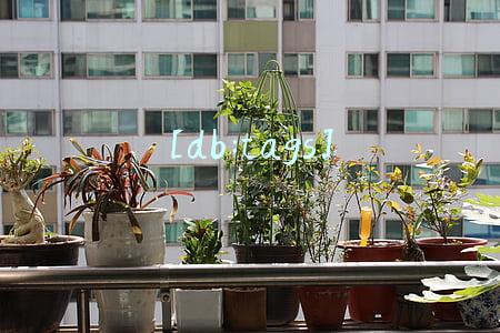 [db:tags]