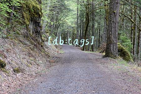 [db:tags]