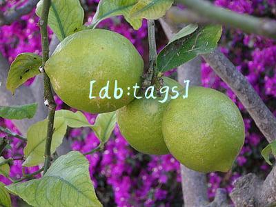 [db:tags]