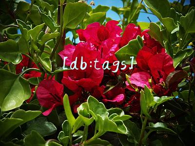 深圳logo设计公司推荐哪家？如何保障设计质量？