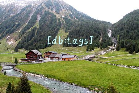 [db:tags]