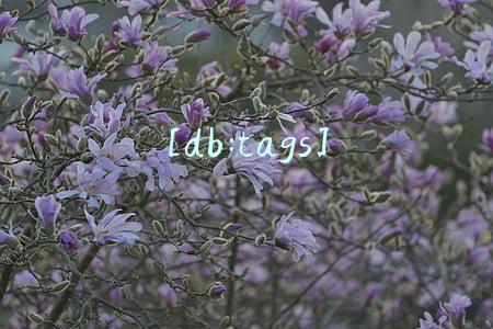[db:tags]