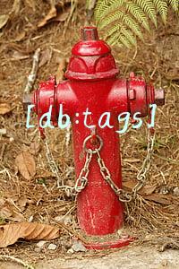 [db:tags]
