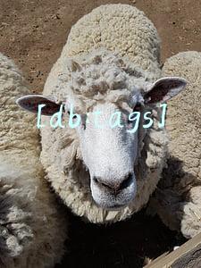大多数的vi设计都有什么内容？怎么做好企业vi？