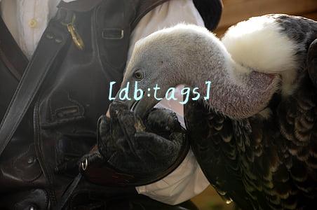 环保logo设计公司哪家好?环保logo设计的关键要素有哪些?