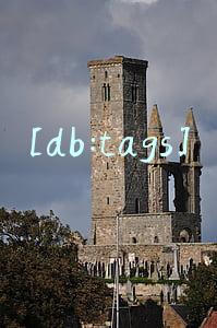 [db:tags]