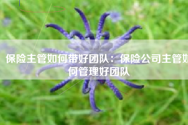 保险主管如何带好团队：保险公司主管如何管理好团队