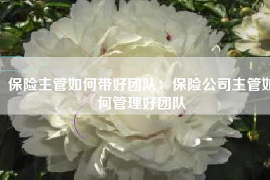 保险主管如何带好团队：保险公司主管如何管理好团队