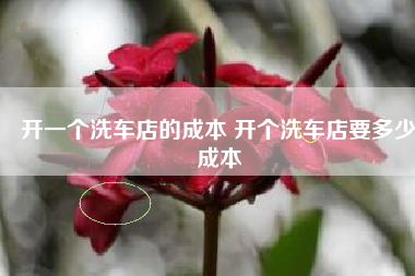 开一个洗车店的成本 开个洗车店要多少成本