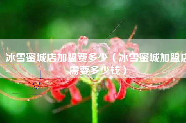 冰雪蜜城店加盟费多少（冰雪蜜城加盟店需要多少钱）