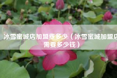 冰雪蜜城店加盟费多少（冰雪蜜城加盟店需要多少钱）