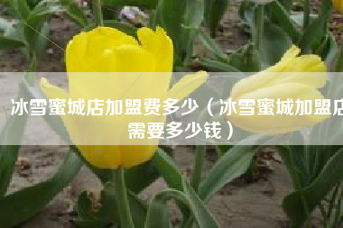 冰雪蜜城店加盟费多少（冰雪蜜城加盟店需要多少钱）
