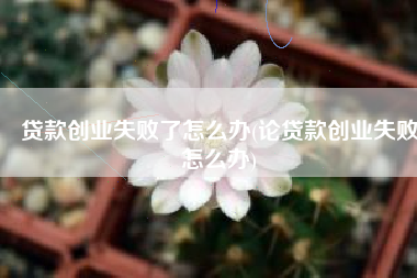 贷款创业失败了怎么办(论贷款创业失败怎么办)