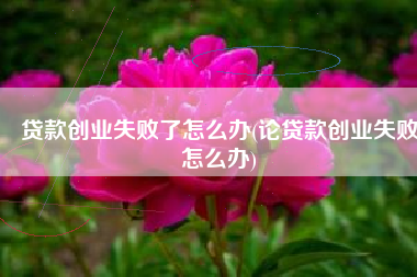 贷款创业失败了怎么办(论贷款创业失败怎么办)