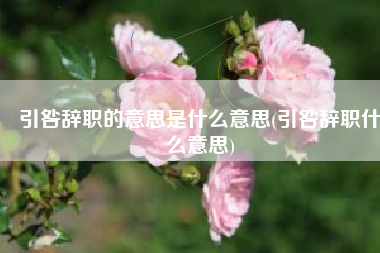 引咎辞职的意思是什么意思(引咎辞职什么意思)