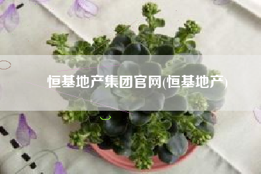 恒基地产集团官网(恒基地产)