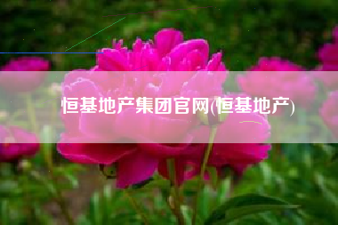 恒基地产集团官网(恒基地产)