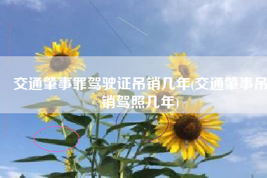 交通肇事罪驾驶证吊销几年(交通肇事吊销驾照几年)