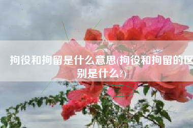 拘役和拘留是什么意思(拘役和拘留的区别是什么?)