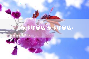 东来顺总店(东来顺总店)