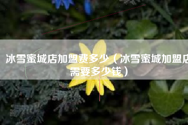 冰雪蜜城店加盟费多少（冰雪蜜城加盟店需要多少钱）