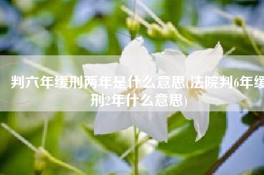 判六年缓刑两年是什么意思(法院判6年缓刑2年什么意思)