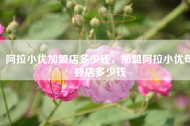 阿拉小优加盟店多少钱，加盟阿拉小优母婴店多少钱
