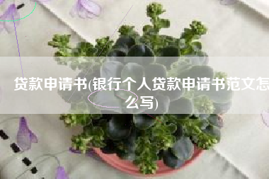 贷款申请书(银行个人贷款申请书范文怎么写)