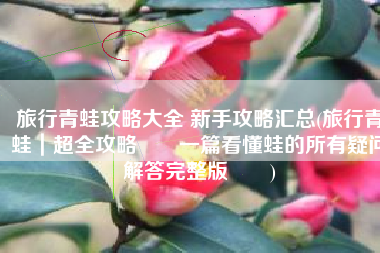 旅行青蛙攻略大全 新手攻略汇总(旅行青蛙｜超全攻略‼️一篇看懂蛙的所有疑问解答完整版‼️)