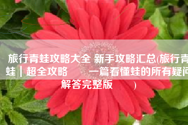 旅行青蛙攻略大全 新手攻略汇总(旅行青蛙｜超全攻略‼️一篇看懂蛙的所有疑问解答完整版‼️)