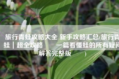 旅行青蛙攻略大全 新手攻略汇总(旅行青蛙｜超全攻略‼️一篇看懂蛙的所有疑问解答完整版‼️)