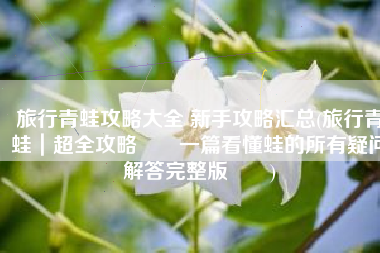 旅行青蛙攻略大全 新手攻略汇总(旅行青蛙｜超全攻略‼️一篇看懂蛙的所有疑问解答完整版‼️)