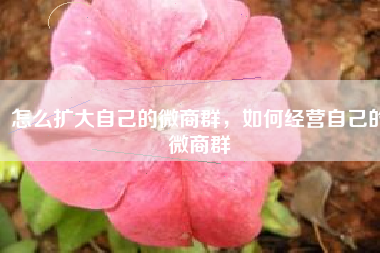 怎么扩大自己的微商群，如何经营自己的微商群