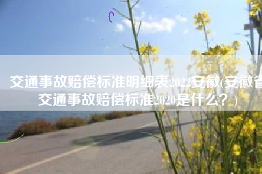 交通事故赔偿标准明细表2022安徽(安徽省交通事故赔偿标准2020是什么？)