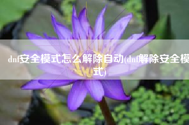dnf安全模式怎么解除自动(dnf解除安全模式)