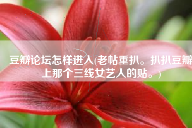 豆瓣论坛怎样进入(老帖重扒。扒扒豆瓣上那个三线女艺人的贴。)
