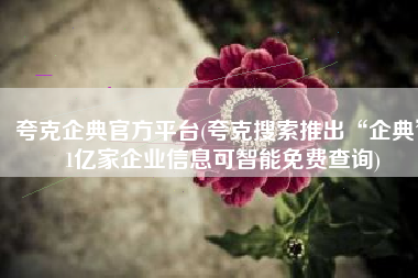 夸克企典官方平台(夸克搜索推出“企典” 1亿家企业信息可智能免费查询)