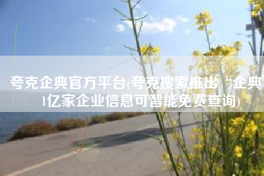 夸克企典官方平台(夸克搜索推出“企典” 1亿家企业信息可智能免费查询)