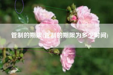 管制的期限(管制的期限为多少时间)
