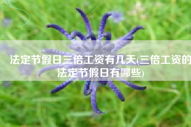 法定节假日三倍工资有几天(三倍工资的法定节假日有哪些)