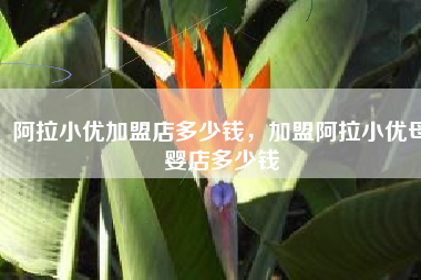阿拉小优加盟店多少钱，加盟阿拉小优母婴店多少钱